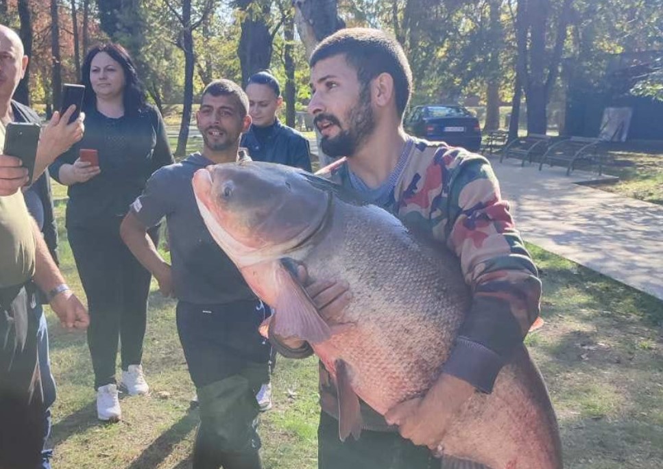 Огромна риба извлечена од езерцето во Градскиот парк во Скопје (ВИДЕО)