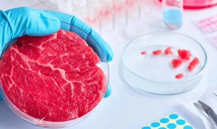 ЕУ: Италија е првата земја што го забрани „вештачкото месо“, произведено во лабораторија од клетки од животинско ткиво