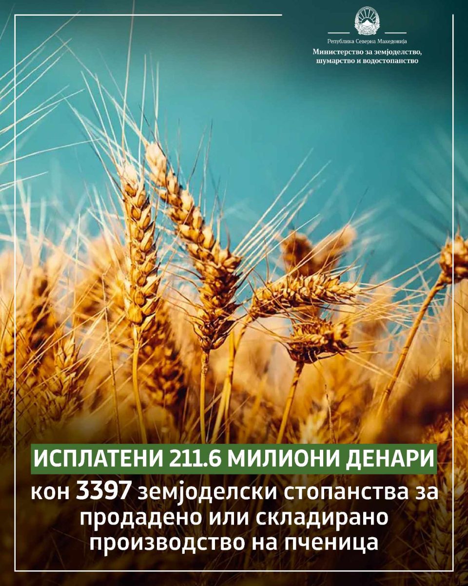 МЗШВ: Исплатени 211,6 милиони денари кон 3.397 земјоделски стопанства за пченица