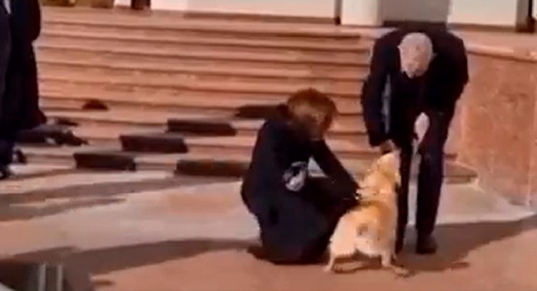 (видео) ДИПЛОМАТСКИ ИНЦИДЕНТ ВО МОЛДАВИЈА: Кучето на претседателката Санду го касна австрискиот претседател Ван дер Белен