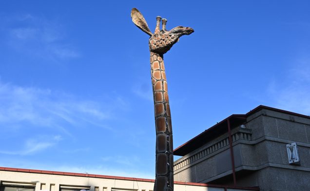 Угина Флопи, последната жирафа во скопската ЗОО