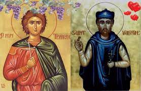 Заблудата околу славењето на Св. Трифун и Св. Валентин