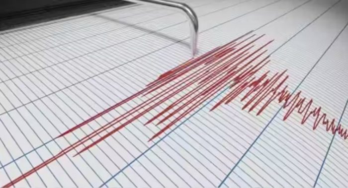 СИЛЕН ЗЕМЈОТРЕС ВО ЈАПОНИЈА: Потрес со јачина од 6,9 степени според Рихтеровата скала ги погоди островите Огасавара