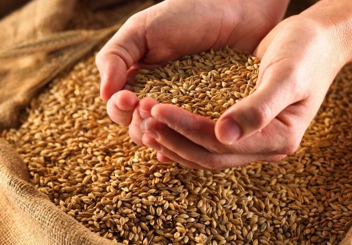 ПАТРУШЕВ: Русија бесплатно испрати 200.000 тони жито во африканските земји Сомалија, Мали, Буркина Фасо, Зимбабве, Еритреја и ЦАР