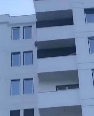 (видео) ГРОЗОМОРЕН ЧИН ВО ТЕТОВО: Куче од голема висина од зграда во изградба паѓа на плочникот, сликата е вознемирувачка