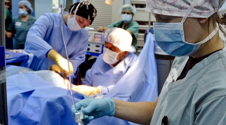 ЛЕКАРИТЕ ВООДУШЕВЕНИ: Свински бубрег првпат трансплантиран на човек