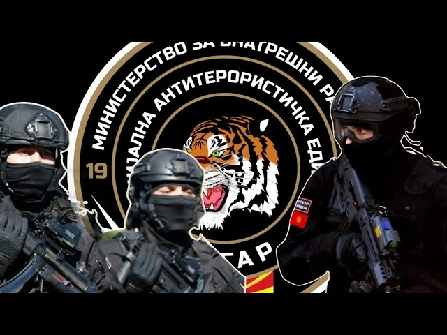 ГОДИШНИНА НА САЕ ТИГАР: Македонската специјална антитерористичка единица одбележува 43 години од формирањето