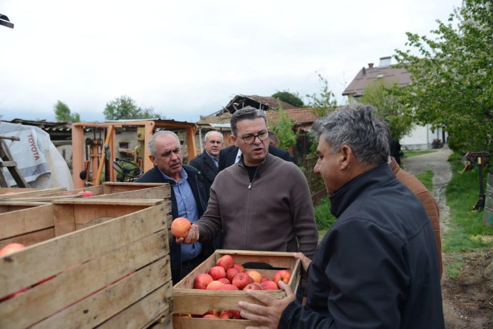 ЗАГРИЖЕНИ ОВОШТАРИ ВО ПРЕСПА: Поради увоз на јаболка од други земји во Македонија, во Ресен ќе остане неоткупено и ќе скапува