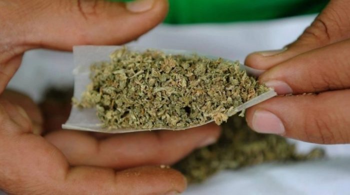 САД: Владата ја категоризира марихуаната како помалку опасна дрога, луѓето кои користат или ја поседуваат нема да одат во затвор
