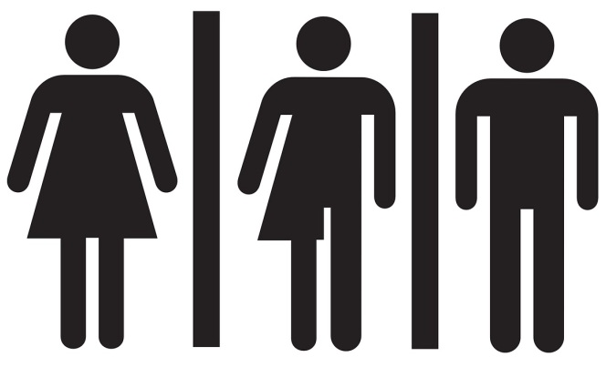 ЗАБРАНА ВО ВЕЛИКА БРИТАНИЈА: Со измена на законот нема веќе родово неутрални тоалети туку посебни за мажи и за жени