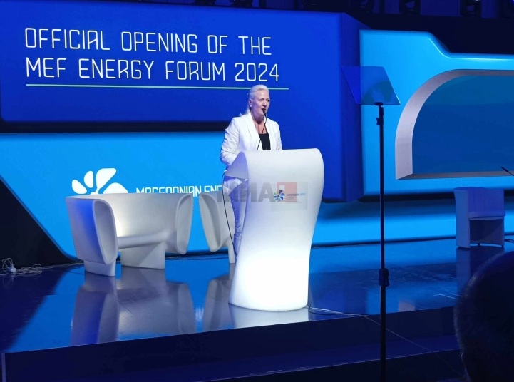 АГЕЛЕР: Енергетската сигурност и зелената енергија се приоритети кои треба да ги надминат партиските политики, поддршка од САД