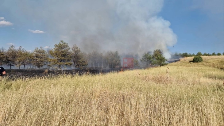 АКТИВНИ 15 ПОЖАРИ ЗА 24 ЧАСА: Избувна пожар во нискостеблеста шума кај Негорци, интервенираа пожарникари, но сѐ уште е активен