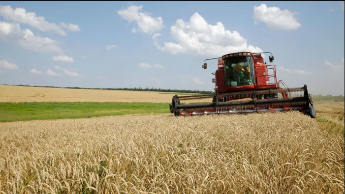 ТРИПУНОВСКИ:  Агенцијата за стокови резерви ќе набави 15 илјади тони пченица исклучиво од македонско производство