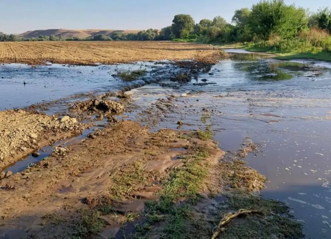 ПОМОР ВО ВАРДАР: Уништени риби и друг жив свет во реката, откако пукна браната на езерцето на биогасната централа во Градско