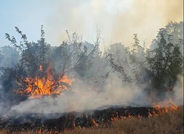 Големо жариште на планината Серта, во моментов има девет активни пожари