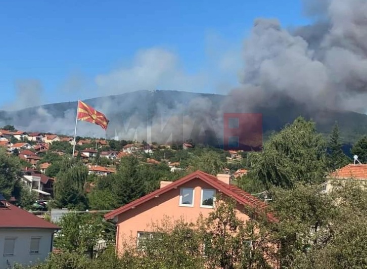 КРИЗЕН ШТАБ НА ПЕХЧЕВО: Два хеликоптера, пожарникари и доброволци утрово ќе го гаснат пожарот што избувна вчера