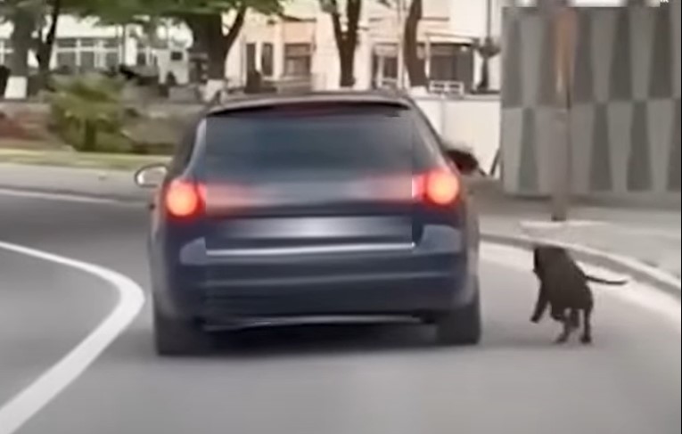 (видео) КРИВИЧНА ЗА МАЧЕЊЕ ЖИВОТНИ: Куче врзано за автомобил кое трча по колата, предизвика револт на социјалните мрежи