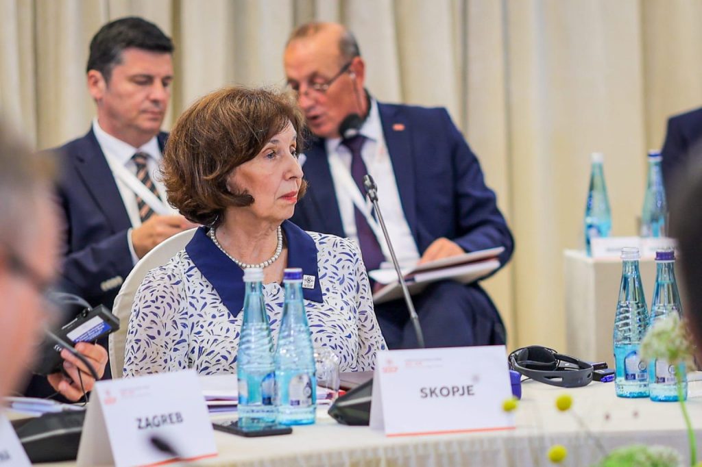 СИЉАНОВСКА ОД ТИРАНА: Злоупотреба на правото на вето, идентитетски условувања и историски ревизионизам
