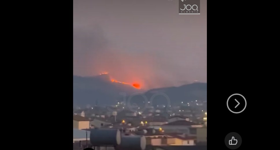 ВИДЕО: Во Албанија беснеат 14 пожари