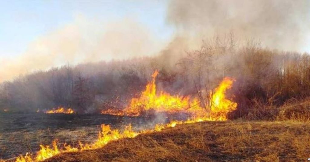 Пожар во близина на Солун – затворен автопат кон Атина и во двата правци
