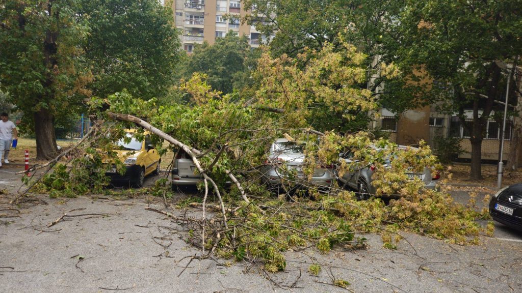 (ФОТО ГАЛЕРИЈА) ВЕТЕР КАКОВ НЕ СЕ ПОМНИ: Последици од вчерашното невреме во Скопје