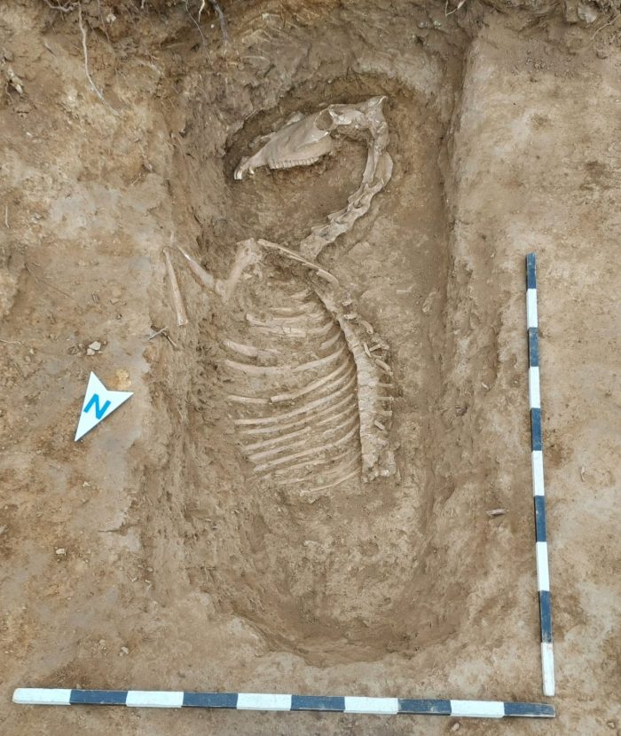 Откриен гроб со протома од коњ положен на страна кој датира од железното време на локалитетот Исар Марвинци