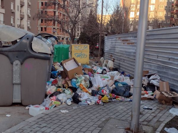 ВМРО-ДПМНЕ: Советниците на ВМРО-ДПМНЕ и Коалицијата гласаа за сите одлуки предложени од страна на Арсовска, а кои беа поврзани со Комунална хигиена