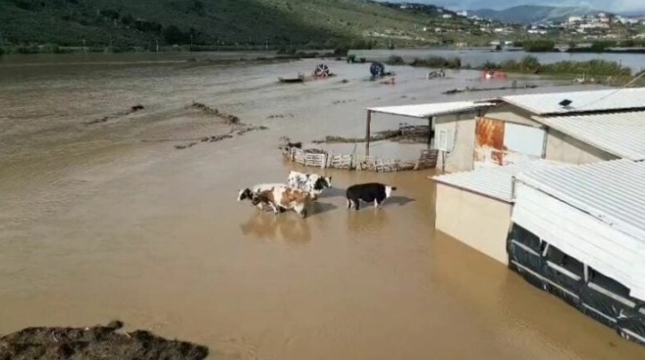 ДРАМАТИЧНО ВО АЛБАНИЈА: Една жртва и 1.000 поплавени домови, евакуирани 100-тина семејства, во спасувањето вклучена и армијата