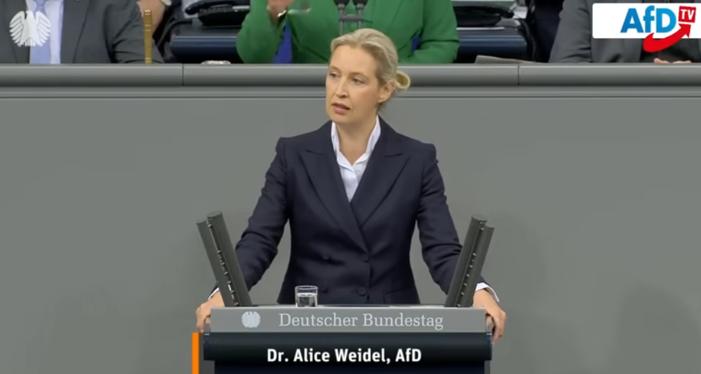 ВАЈДЕЛ: Протестите против АфД се длабоко недемократски
