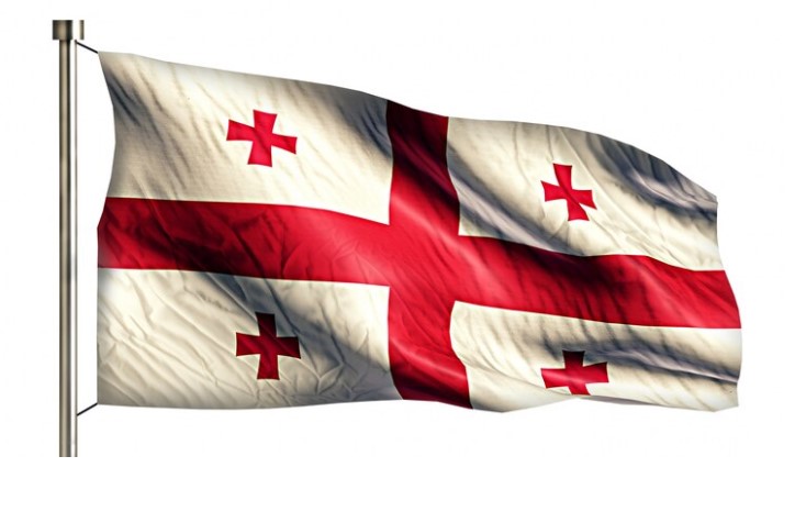 Уапсен лидерот на опозициската Граѓанска партија за предизвикување пожар во Градскиот суд во Тбилиси