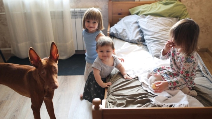 ЕВРОСТАТ: Македонија со најниска стапка на пренатрупани домаќинства во регионот, пониска и од членки на ЕУ како Романија и Летонија