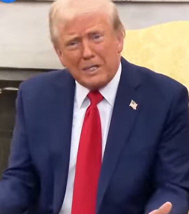 Федерален судија ја забрани наредбата на Трамп со која се бара доказ за државјанство на тие што гласаат по пошта