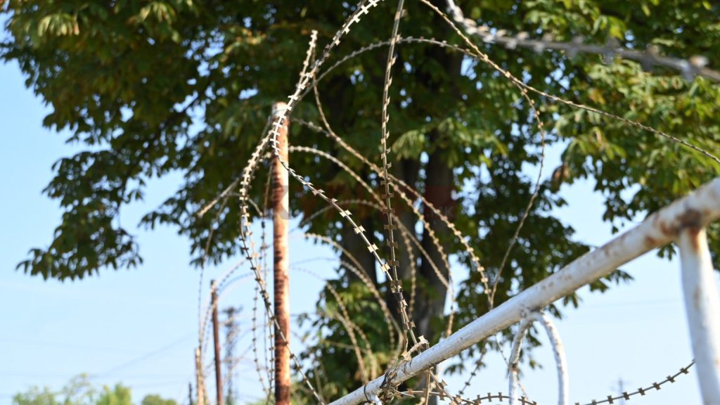 Доживотен затвор за кавадарчанецот кој го уби братот: Го усмртил на роденден поради имот, па го сокрил телото