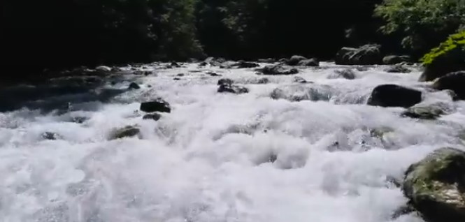 НЕМА ПОВРЕДЕНИ: Сообраќајна незгода кај Бигорскиот манастир, возило завршило во реката Радика