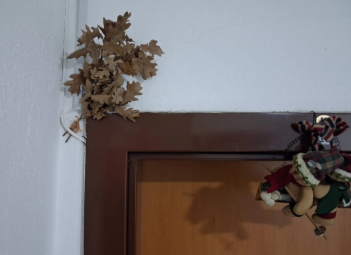 Од пладне до полноќ на Бадник во Битола, Спилеон од картонска кутија – уште една незаборавна традиција