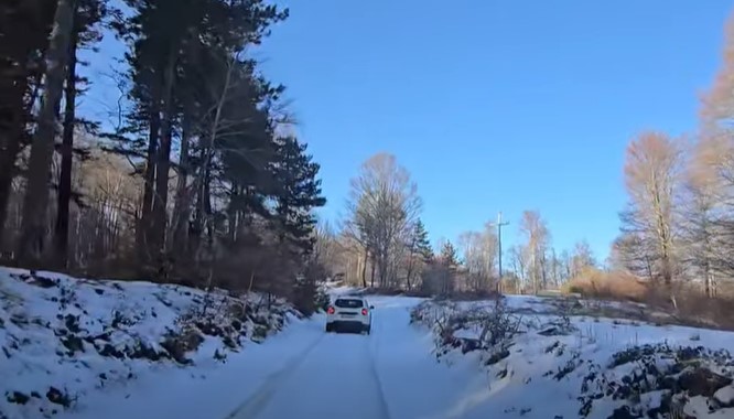 ВИДЕО: На лице место фатени дрвокрадци кои пустошат на радовишка Плачковица