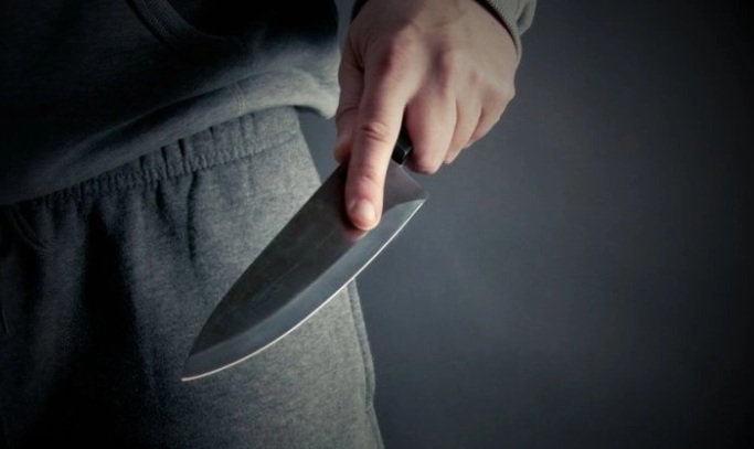 НАПАД СО НОЖ ВО СЛОВЕНИЈА: Досега не бил гонет за насилство ученикот од I година кој е уапсен по нападот на ученичка од IV година