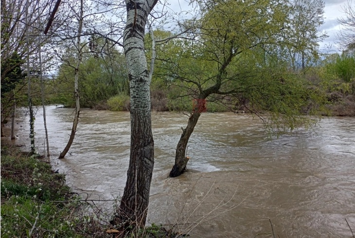 ЦУК: Обилните врнежи од дожд во текот на ноќта предизвикаа поплави, излевање реки и тешкотии во сообраќајот во Македонија