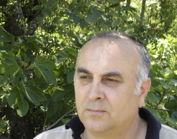 КОЛУМНА НА САРКАЊАЦ: Божикна бајка или за ROYAL INSTITUTION и CHRISTMAS LECTURE