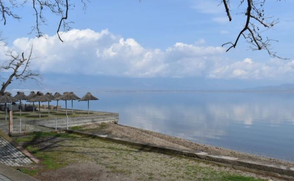 Редок вид на чапја се гнезди крај Дојранското Езеро