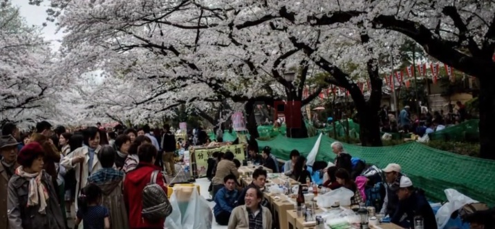 ОТКАЖАН ФЕСТИВАЛОТ НА ЦРЕШИТЕ: Во Јапонија несовесни туристи влегуваат во приватни дворови, па дури и вршат нужда таму