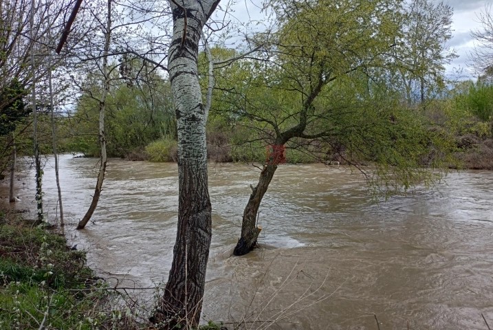 ЦУК ЗА ОБИЛНИТЕ ВРНЕЖИ: Евакуирани 180 лица од поплавени куќи во Кичево, во куќа во Гостиварско заглавени две деца со мајка