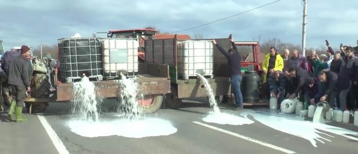 ВНИМАНИЕ, МЛЕКО НА ПАТОТ: Со истурање млеко на Ибарската магистрала кај Мрчаевци протестираат 100-тина производители од Србија