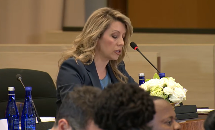 РОЗИ МИЦКОСКА НА САМИТОТ ВО САД: Во одговорен и достапен начин во нашата земја, веруваме дека дигиталната писменост мора да започне од најрана возраст