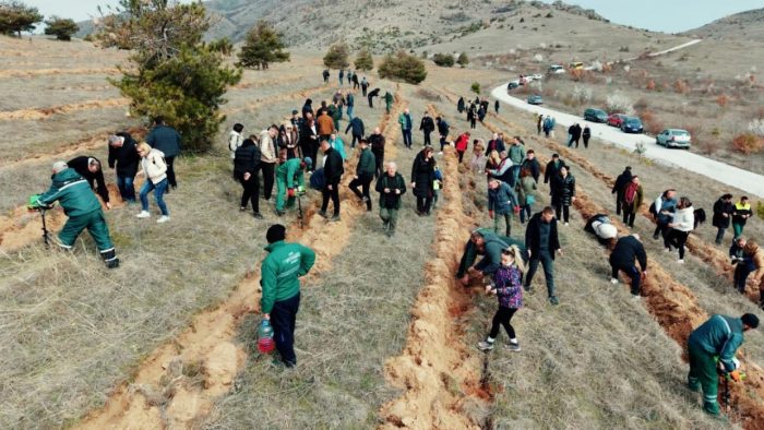 ЗАСАДЕНИ 6 000 САДНИЦИ НА ДАБ: Голема акција за пошумување во Прилеп