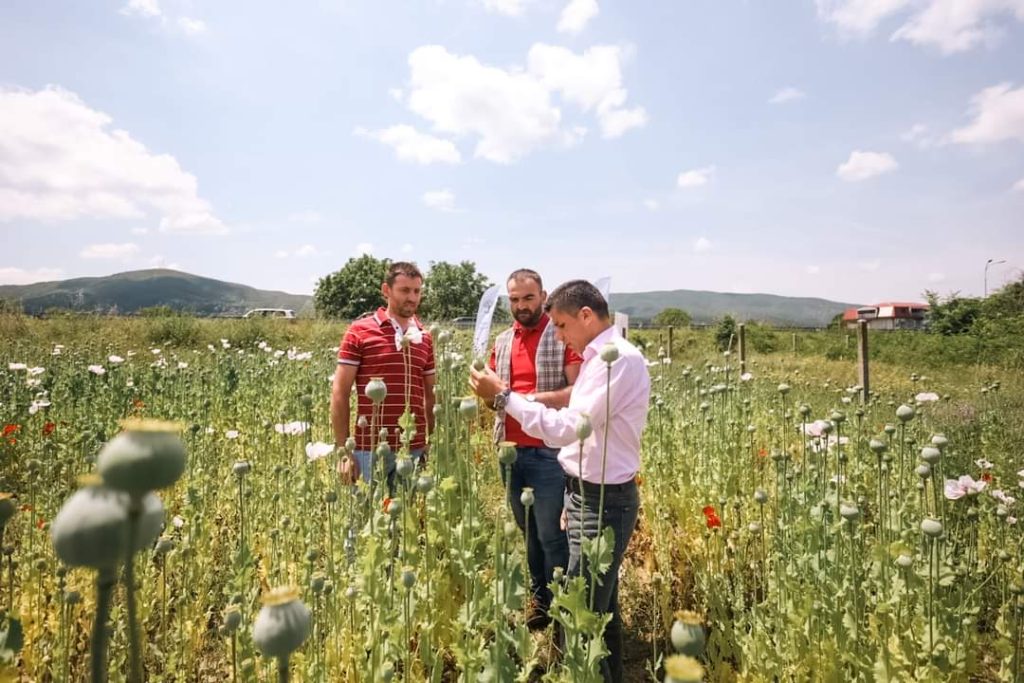 СООПШТЕНИЕ НА СДС: Земјоделците мора да продадат најмалку 30% од производството, во спротивно не добиваат ниту денар субвенција