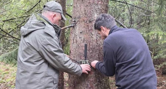 НП ПЕЛИСТЕР: Поставени 40 камери за надзор на мечки, дивокози, птици и растенија, како и на крупните цицачи волк, рис, дива свиња и срна