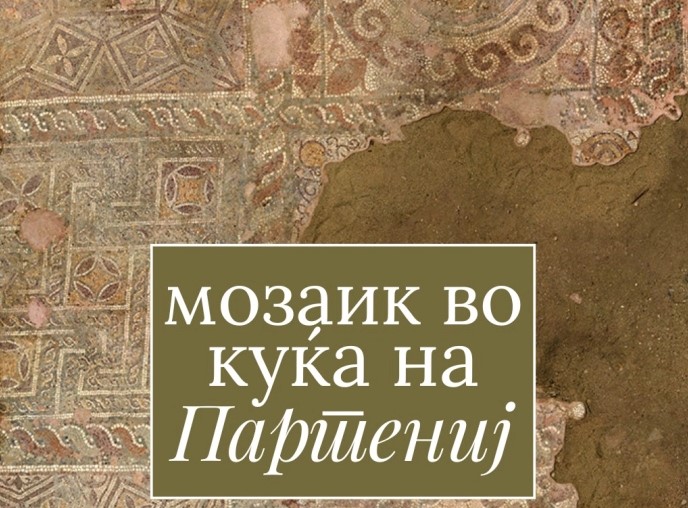 ПО ПОДОЛГО ВРЕМЕ: Се открива уште едно скриено богатство на Стоби – мозаик во Куќата на Партениј