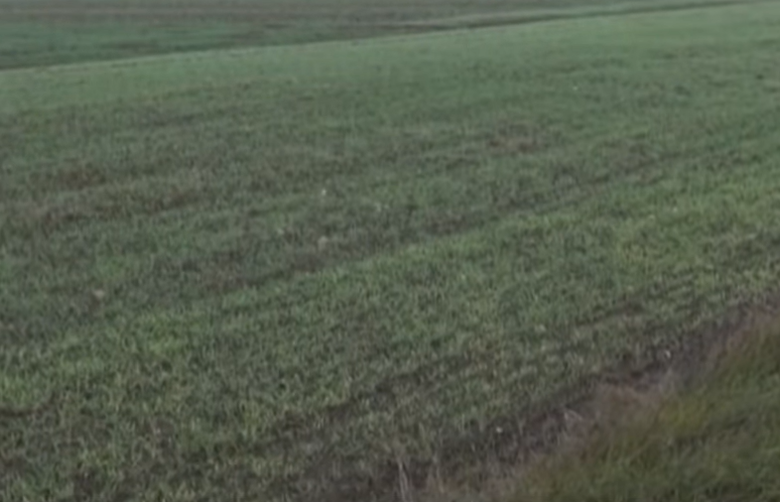 Исплатени близу 94 милиони денари кон околу 2.430 земјоделци