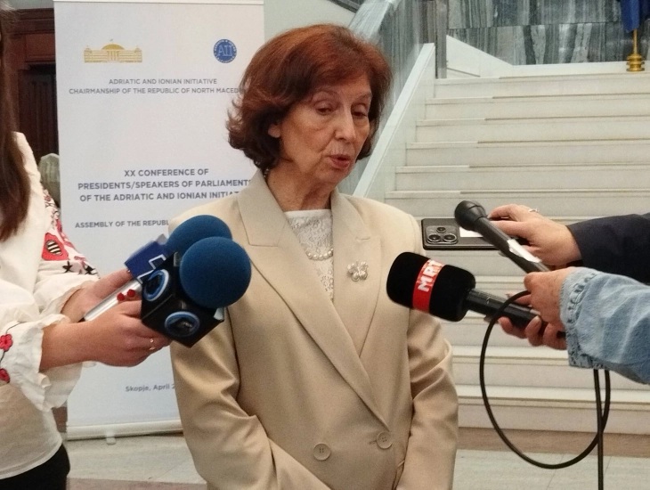 СИЉАНОВСКА: Поддршка за укинување на техничката влада, двојно државјанство не треба да има ни претседателот, ниту министрите